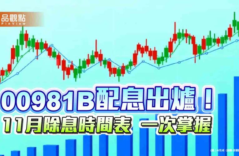 00981B十一月配息0.069元！連3月不變　經理人這樣說