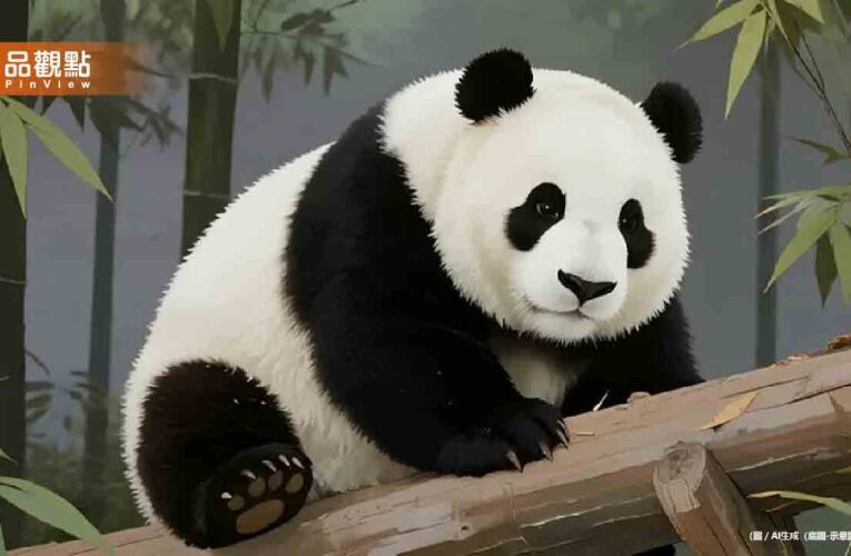 中日關係急凍！上野「最後2大貓熊」歸還倒數中