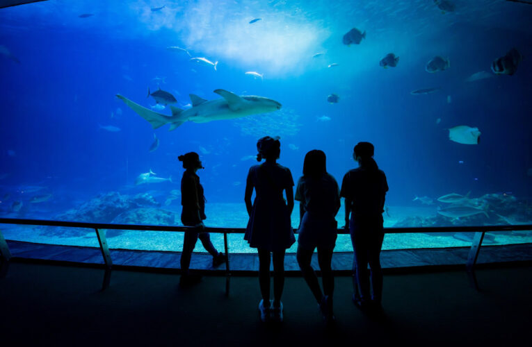 屏東海生館BOT榮獲教育部海洋教育推手獎 打造全民海洋學習場域