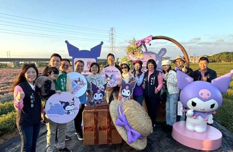 桃園仙草嘉年華揭幕　紫色花海搭配波斯菊花田最具魅力