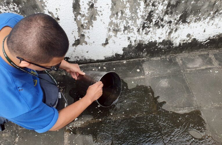 登革熱拉警報！嘉市府提醒：天涼蚊未歇　「巡倒清刷」不可懈