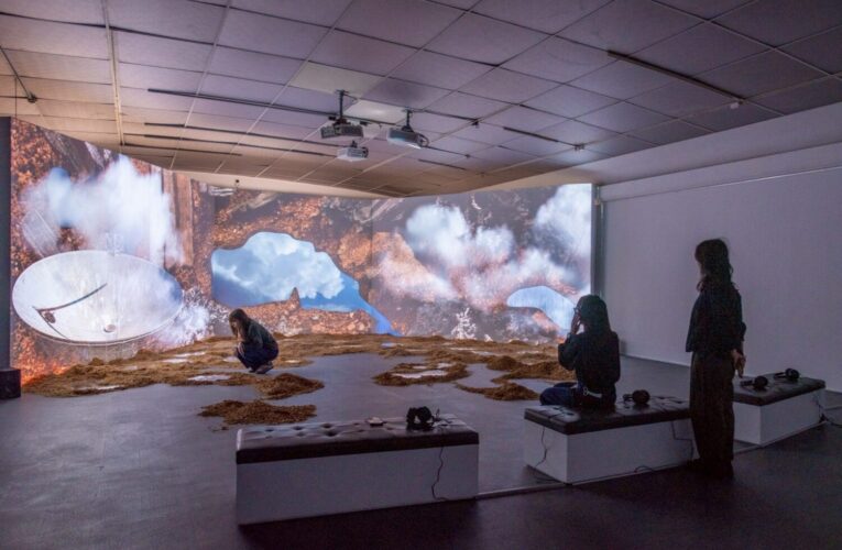 從北歐森林到高雄濕地　重拾土地的感官記憶　高美館KSPACE新展《連結失落的風景》