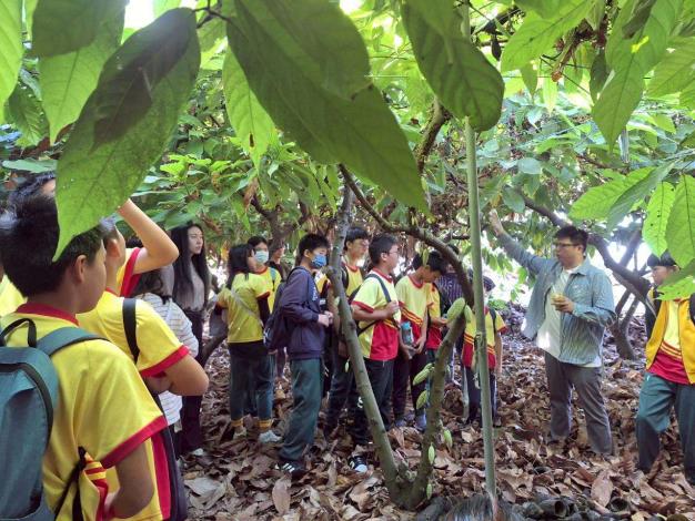 雲林食農教育深入在地　農業處領後埔國小師生探尋可可、酪梨及社區永續雞場