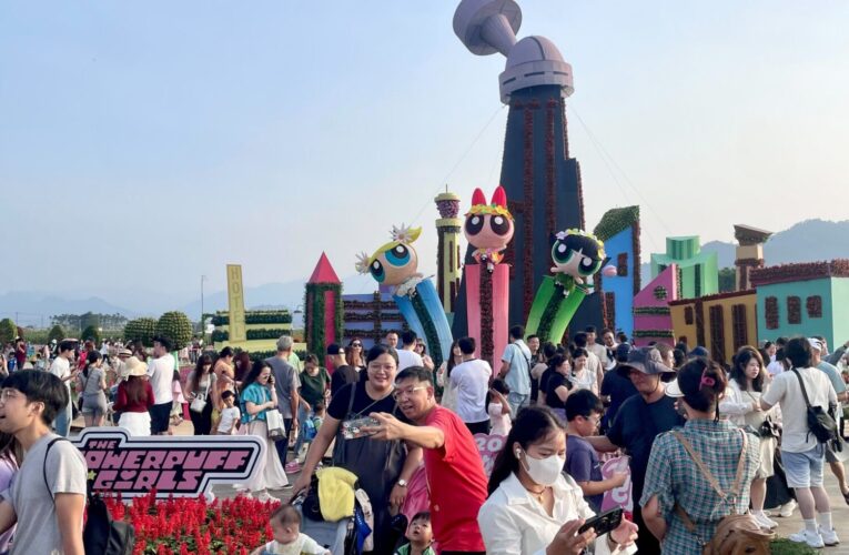 鳳凰颱風過後人潮爆發！　台中國際花毯節突破百萬參觀人次 農特產品銷售飆破一千伍佰萬元