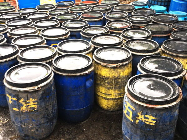 宜蘭縣即日起全面禁止廚餘養豬