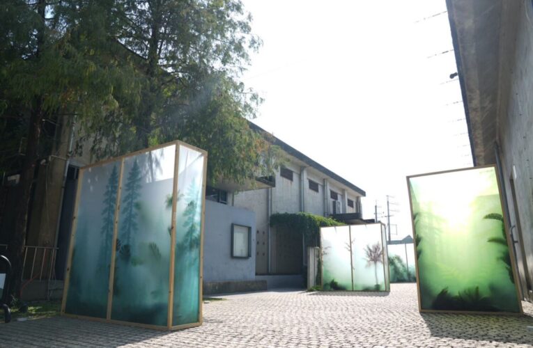 2025高山茶都精彩登場　阿里山5大茶區一次呈現