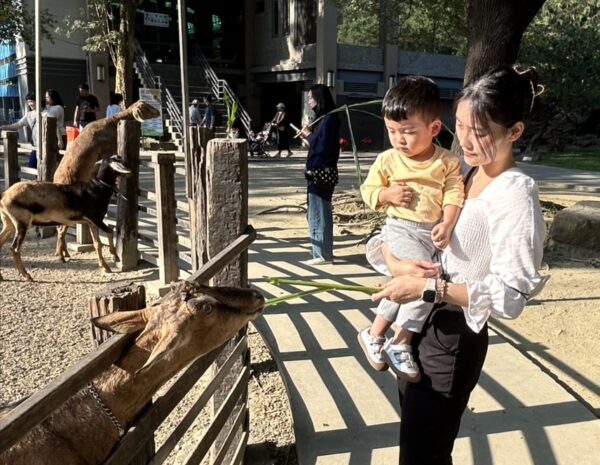 冬季親子出遊正當時　農場、動物園與公園成熱門選擇