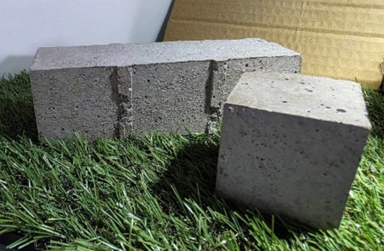 臺南下水污泥再利用再進化  打造循環經濟永續城市