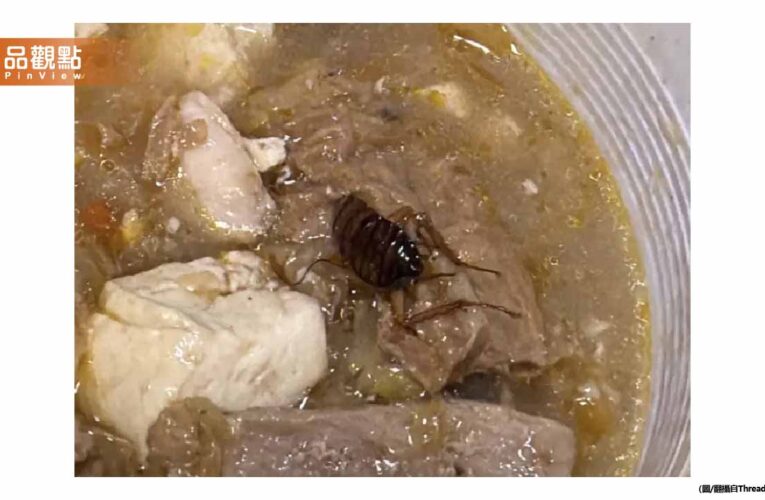 驚！嘉義名店沙鍋魚頭撈出完整大蟑螂 顧客吃一半才發現崩潰