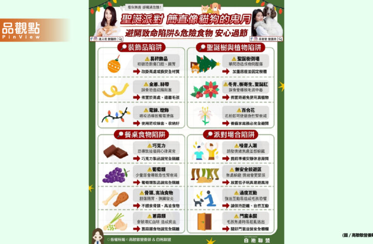 聖誕節看起來無害的裝飾與食物 對毛孩來說可能「危機四伏」