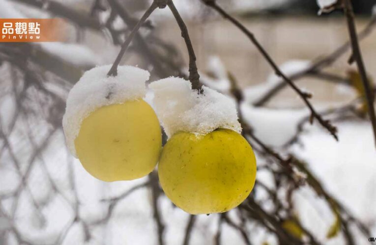 小寒節氣遇「澤火革卦」 命理師警告2026年初恐現巨變