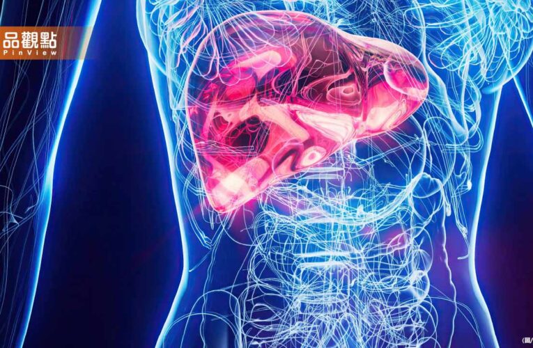 吃太油「會退化肝細胞」最新研究曝：黑化變肝癌