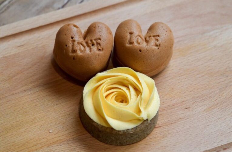 南投友善石虎青蕉皮粉點心 12月限時跑店登場