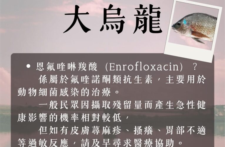 高雄衛生局大烏龍——名律師，劉家榮直指：這不是意外，是執政系統的病灶