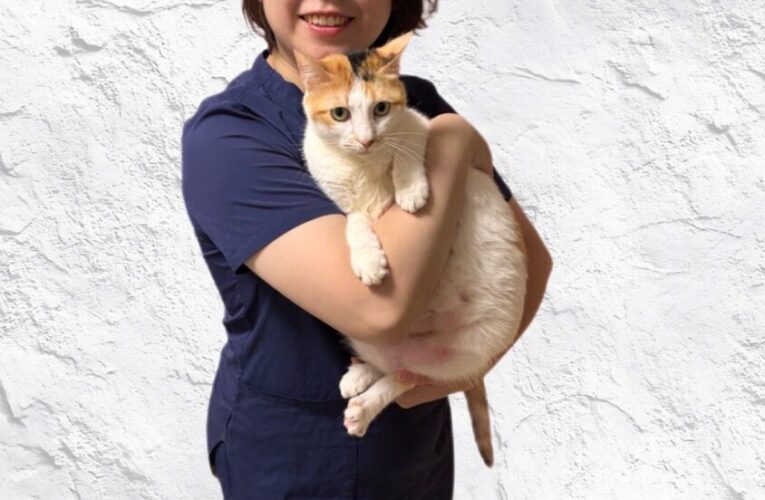 巧勁勝過暴力：把自己放回「身體願意」的位置 / 物理治療師年末專題回顧與祝福