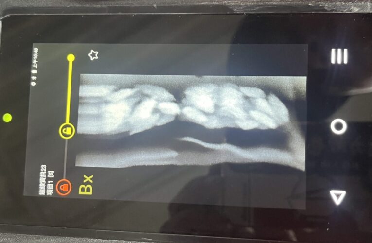 年終歲末貨運湧現　海巡署科技查緝嚴守食安防線