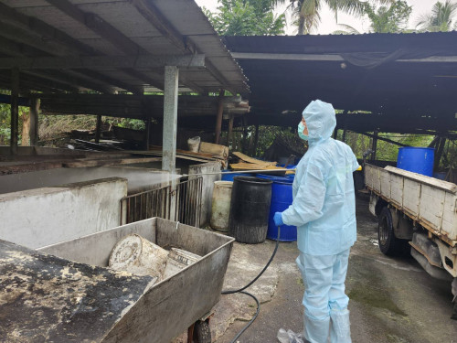 屏東縣再查獲養豬場餵飼廚餘  依法裁罰80萬元 即刻封鎖場內豬隻