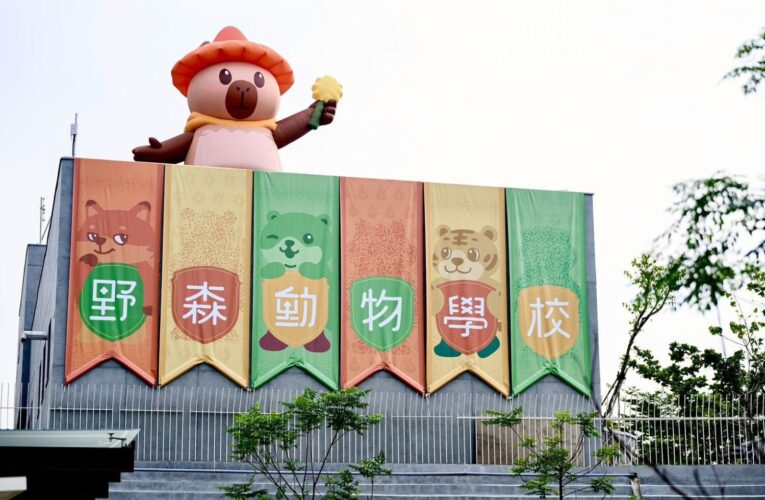 高雄內門「野森動物學校」1月試營運 東高觀光新地標登場
