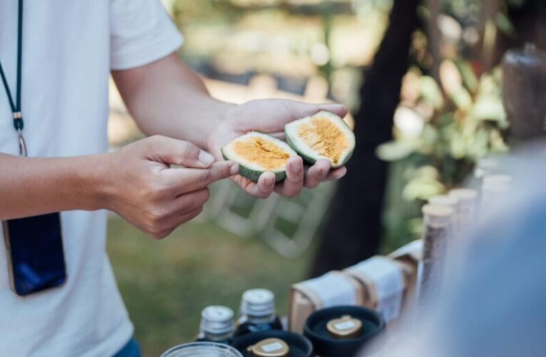 「野趣東高雄 杉林音樂×市集」 12/6走入日光小林，聽金曲、嚐美食 感受部落重生力量