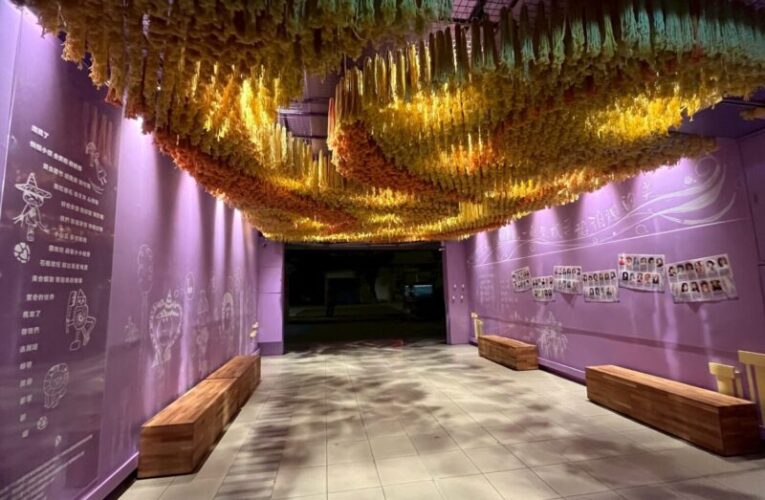 高美館舉辦113年度校園美感環境再造績優學校及設計師頒獎典禮