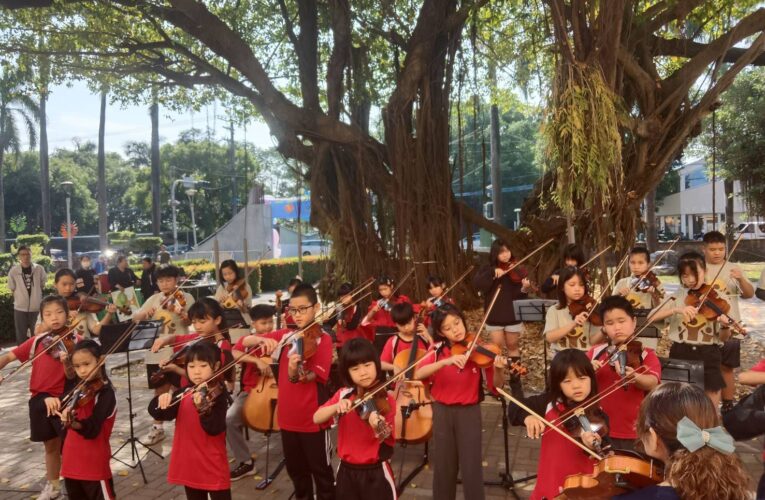 高市百年中路國小大榕樹獲列「受保護樹木」 農業局與師生歡度校慶溫馨揭牌