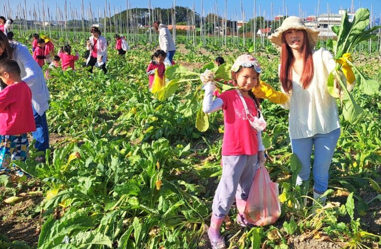 美濃國小幼兒園五感走讀結合客語沉浸