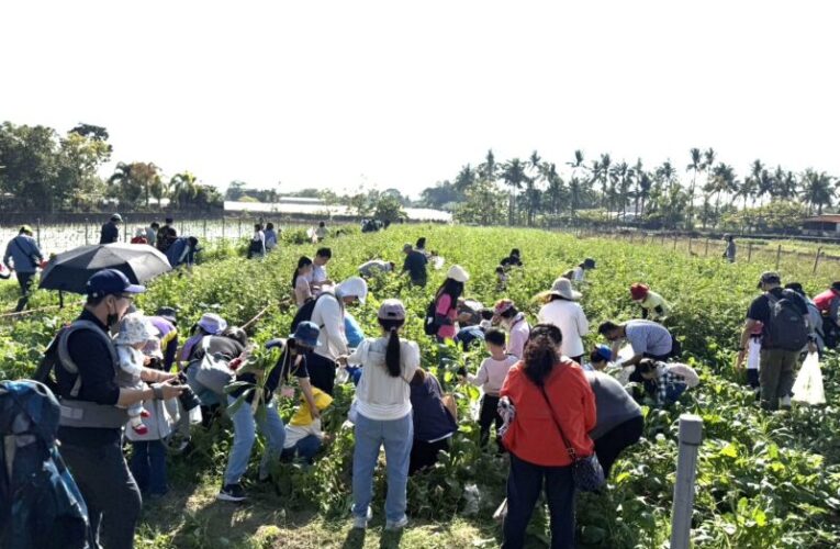 高雄客委會舉辦「蘿蔔仔逃走中」 百名親子體驗美濃食農教育