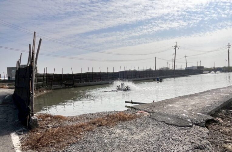 海洋局提醒：元旦低溫來襲  養殖漁民應及早防範