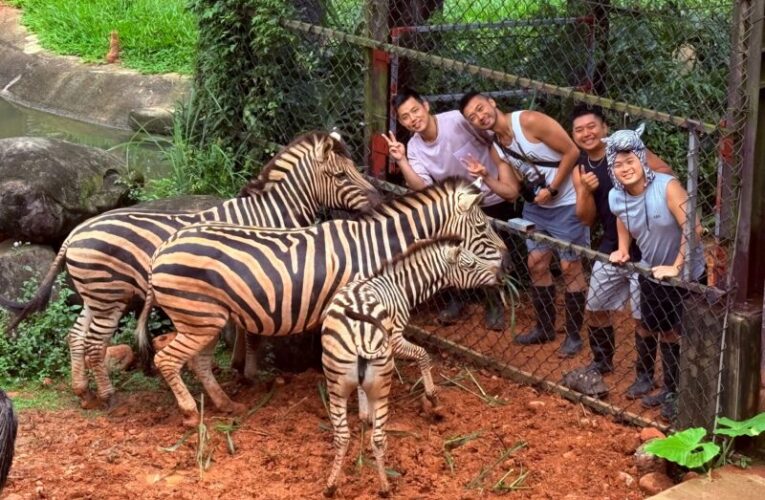 2026走春目標！關西六福莊馬成功春節購屋專案