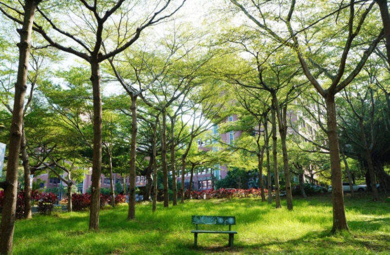 永續教育再受肯定　大葉大學二度榮獲國家永續發展獎