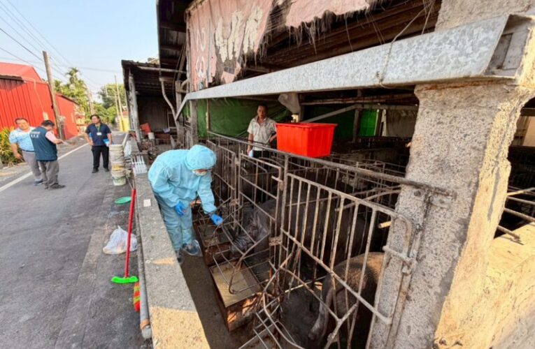 屏東查獲崁頂鄉豬場餵飼廚餘 縣府重罰60萬