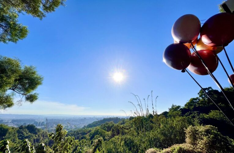 走進山林讀愛情！　大坑9號、9-1號步道打造聖誕限定「愛戀步道」