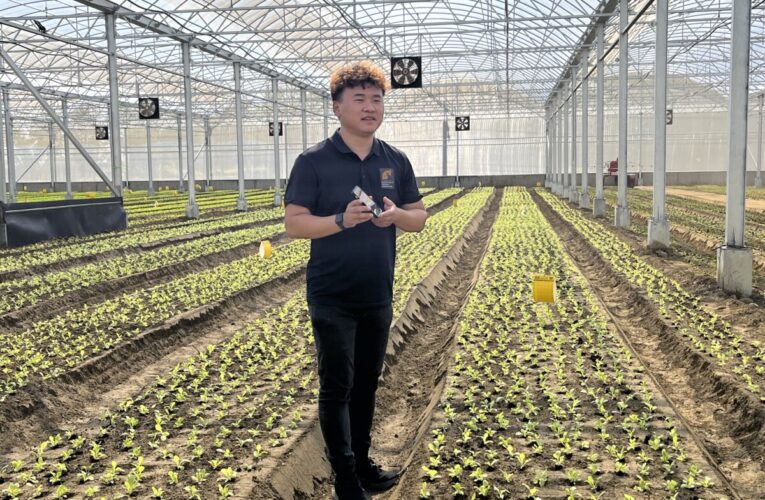 智慧型、生產型及永續型有機農業在太康專區