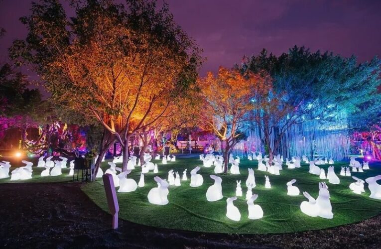 中台灣燈會超人氣策展團隊回歸！ 建設局「驚蟄界」2/15震撼登場