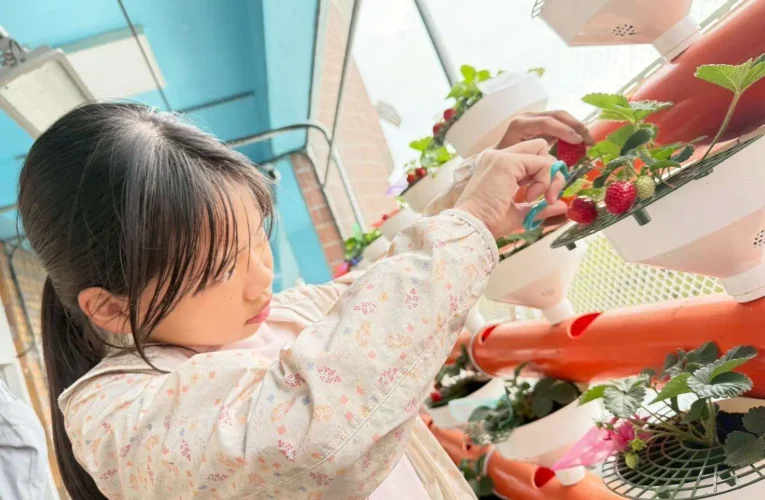 【科技小農夫】農業處推動智慧農業向下扎根　越港國小師生於雲林智慧教育中心迎來「莓」好豐收成果