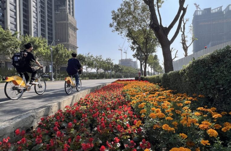 2026新年走春好去處！台中道路、公園繽紛蒔花妝點城市景觀