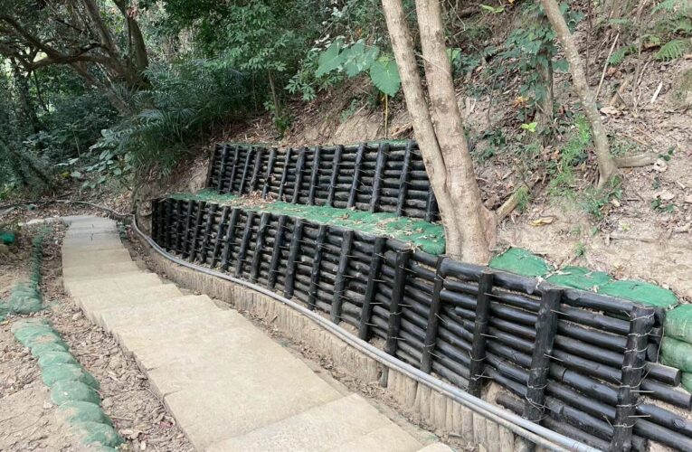 市府加速搶修大坑步道　6、7號步道今日提前開放　2、5號步道拚2月底通行