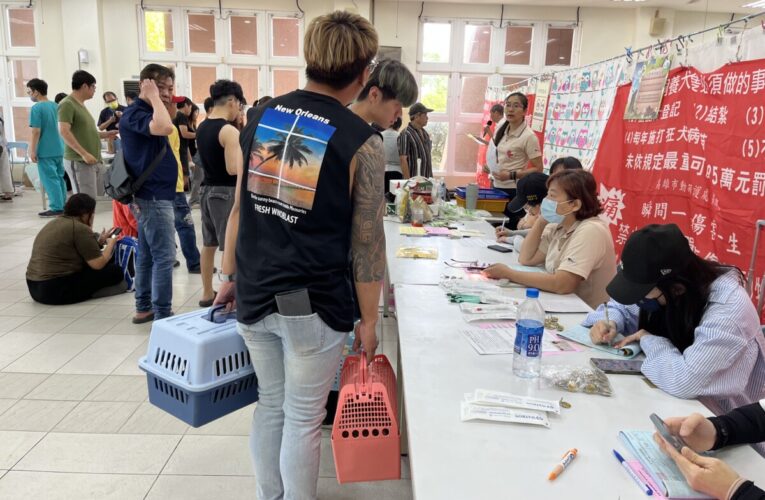 萌寵當道！ 高雄市家犬貓絕育補助創近3年新高