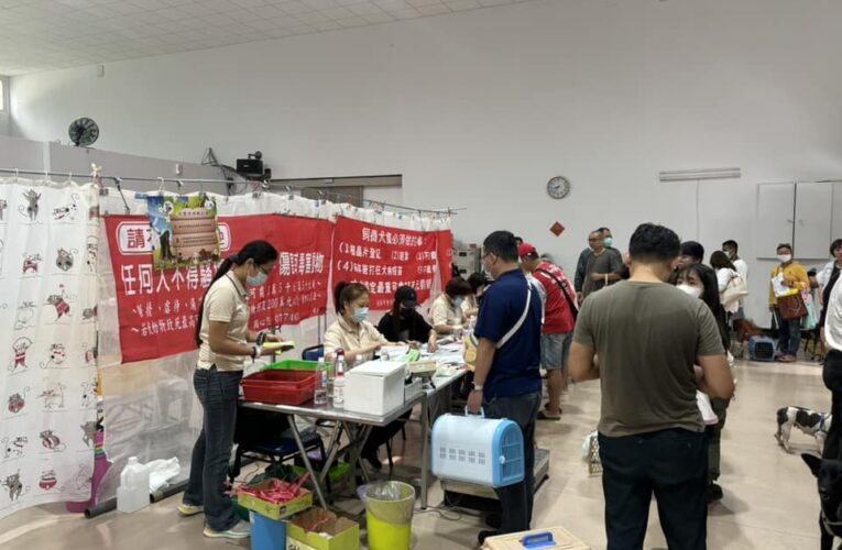 2026高市犬貓絕育雙軌開跑！  市民補助即日開始    巡迴活動首場2/8前進阿蓮