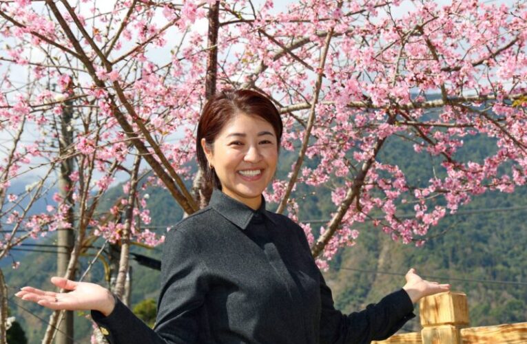 縣長許淑華:信義草坪頭最美茶鄉櫻花季登場！