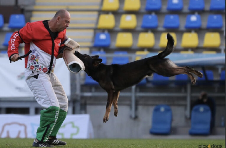 台灣之光！「西北訓犬學苑」邵秀蘭攜愛犬Ricky　匈牙利WUSV世界賽勇奪佳績