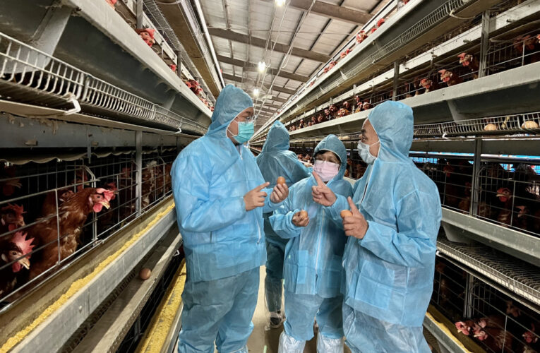 全力防堵禽流感　桃園市農業局加強8大防護網嚴陣以待