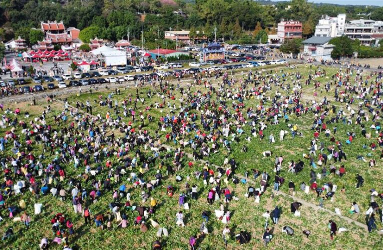 「2026芬響農食典白寶玉出土記」熱鬧登場　千人齊聚芬園體驗拔蘿蔔