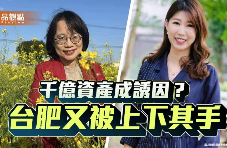 台肥成綠營糧倉？從吳音寧到陳右欣看賴政府的吃相與私心