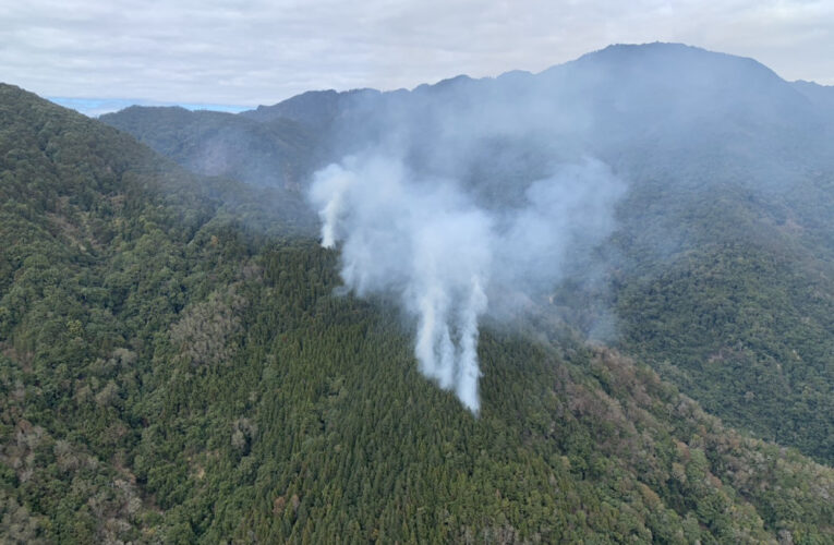 公私協力迅速撲滅高山森林火災　林保署新竹分署呼籲乾季入山防火
