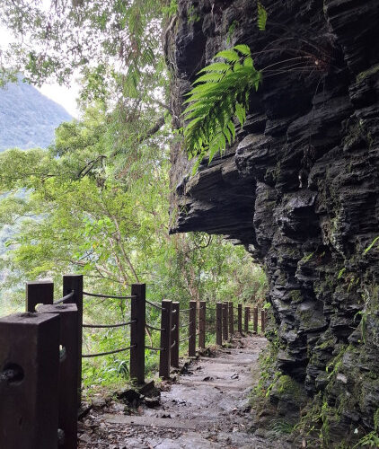 玉山瓦拉米步道字跡尋寶 感受八通關人文歷史