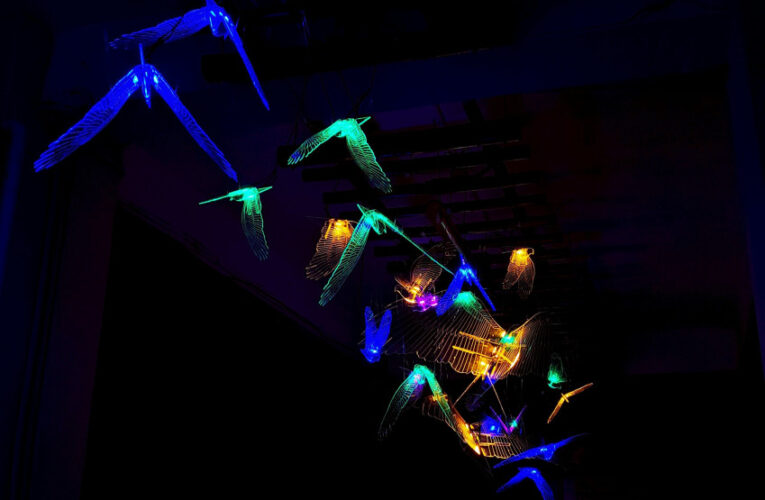 成大創產所策劃《龍崎燈光裝置藝術》重新詮釋人與自然共生關係