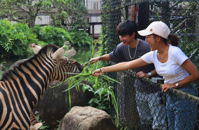 姓馬的看過來！ 　關西六福莊推出「馬的優惠」馬年限定優惠活動