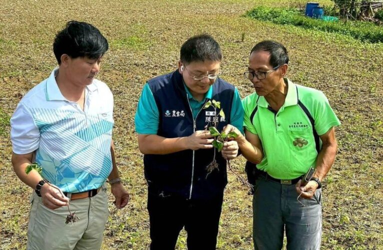 「農糧產業調整與轉型計畫」　桃市加碼補助最高4.5萬獎勵金　