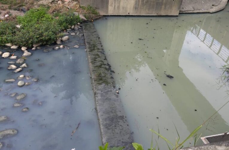 高雄檨仔林埤濕地公園污水溢流 水利局16日已清理截流進流口阻塞物恢復截流功能